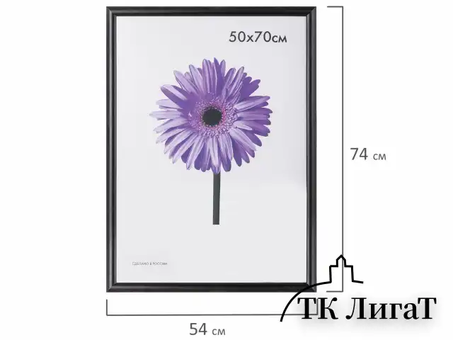 Рамка премиум 50х70 см, дерево, багет 26 мм, "Berta", темно-коричневая, 0006-50-0007