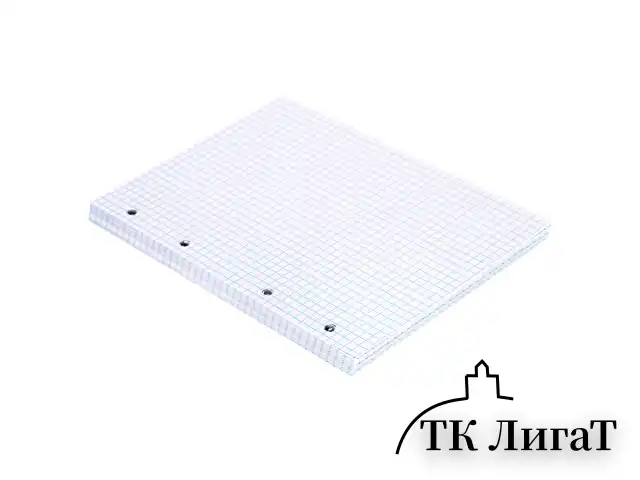 Сменный блок для тетради на кольцах, А5, 80 л., BRAUBERG, "Белый", 401660