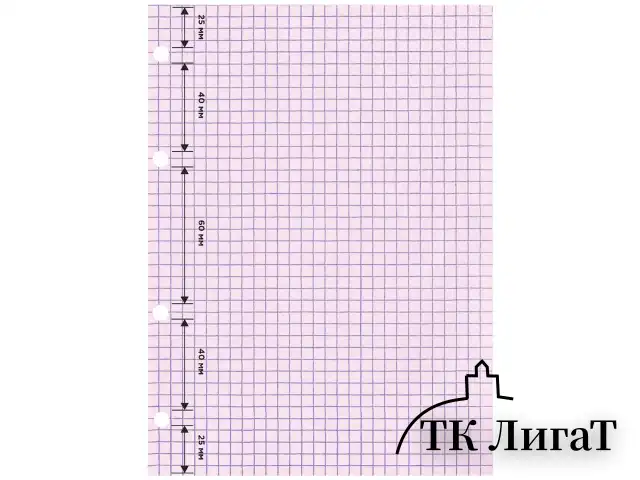 Сменный блок для тетради на кольцах, А5, 200 л., BRAUBERG, 4 цвета по 50 листов, 401661