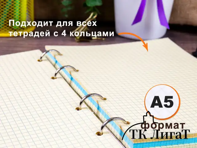 Сменный блок для тетради на кольцах, А5, 200 л., BRAUBERG, 4 цвета по 50 листов, 401661