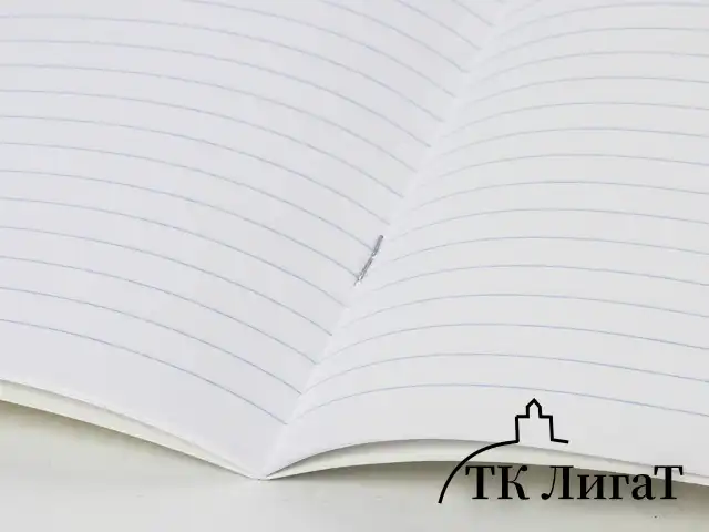 Тетрадь 18 л. BRAUBERG КЛАССИКА, линия, обложка картон, АССОРТИ (5 видов), 401992