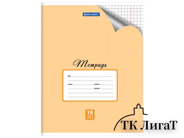 Тетрадь 18 л. BRAUBERG "ЭКО", клетка, обложка плотная мелованная бумага, ПАСТЕЛЬНАЯ С УГОЛКОМ, 402804