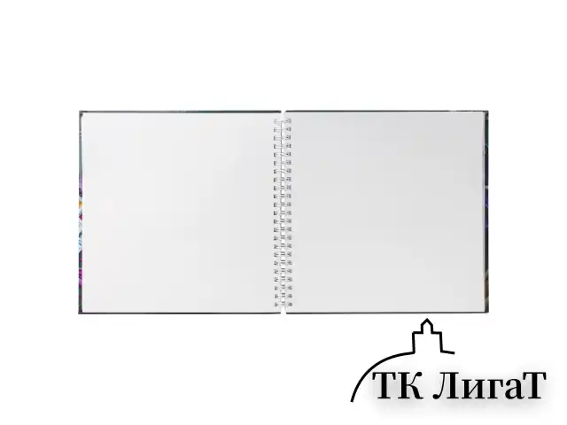 Скетчбук, белая бумага 120 г/м2, 210х210 мм, 60 л., гребень, "Будем рисовать", A258101