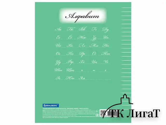 Тетрадь 18 л. BRAUBERG ЭКО "5-КА", линия, обложка плотная мелованная бумага, ЗЕЛЕНАЯ, 402989