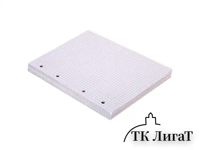 Сменный блок для тетради на кольцах, А5, 120 л., BRAUBERG, "Белый", 403260