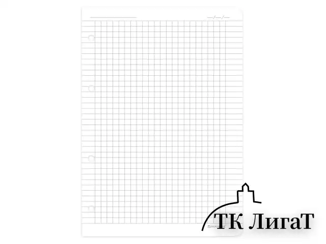 Сменный блок для тетрадей на 4 кольцах А5 120 л., BRAUBERG, ПОВЫШЕННОЙ ПЛОТНОСТИ, белый, 403638