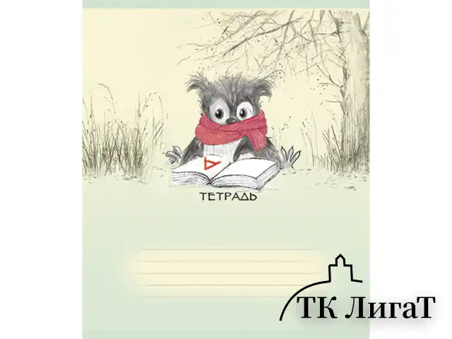 Тетрадь 18 л., ПЗБМ, клетка, конгрев, выборочный лак, "Совёнок Филя" (5 видов), 017064