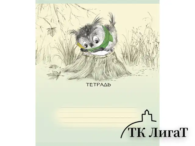 Тетрадь 18 л., ПЗБМ, клетка, конгрев, выборочный лак, "Совёнок Филя" (5 видов), 017064