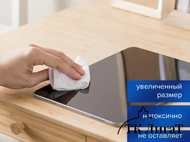 Салфетки для экранов всех типов и пластика (запасной блок) BRAUBERG, пакет 100 шт., влажные, 511685