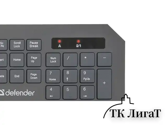 Набор беспроводной DEFENDER Berkeley C-925, клавиатура, мышь 5 кнопок + 1 колесо-кнопка, черный, 45925