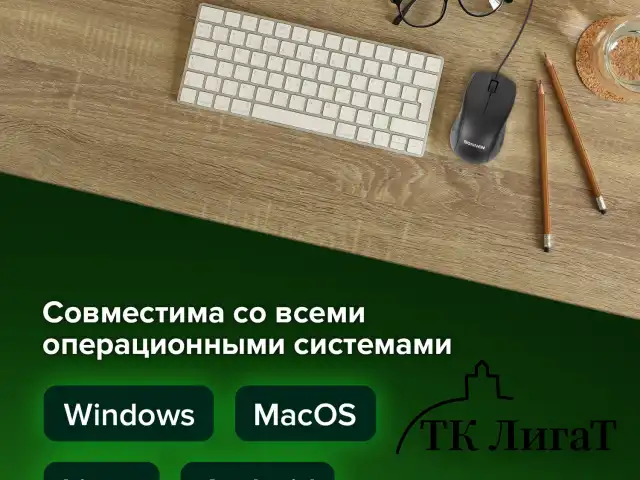 Мышь проводная SONNEN М-201, USB, 1000 dpi, 2 кнопки + колесо-кнопка, оптическая, черная, 512631