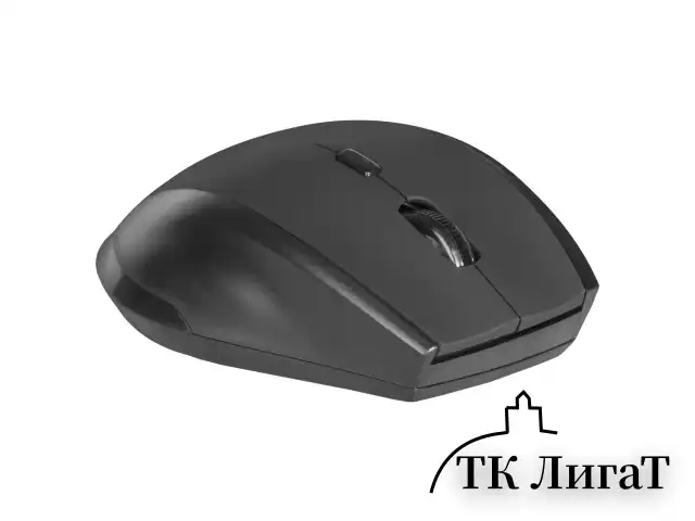 Мышь беспроводная DEFENDER Accura MM-365, 5 кнопок + 1 колесо-кнопка, оптическая, черная, 52365