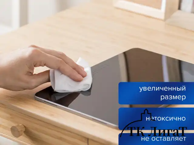 Салфетки АНТИБАКТЕРИАЛЬНЫЕ ДЛЯ МОНИТОРОВ И ПЛАСТИКА, ПЛОТНЫЕ, BRAUBERG, 13x17 см, 100 шт., 513476