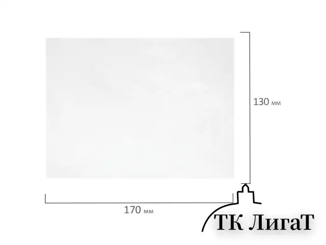 Салфетки АНТИБАКТЕРИАЛЬНЫЕ ДЛЯ БЫТОВОЙ И ОРГТЕХНИКИ, ПЛОТНЫЕ, BRAUBERG, 13x17 см, 100 шт., 513477