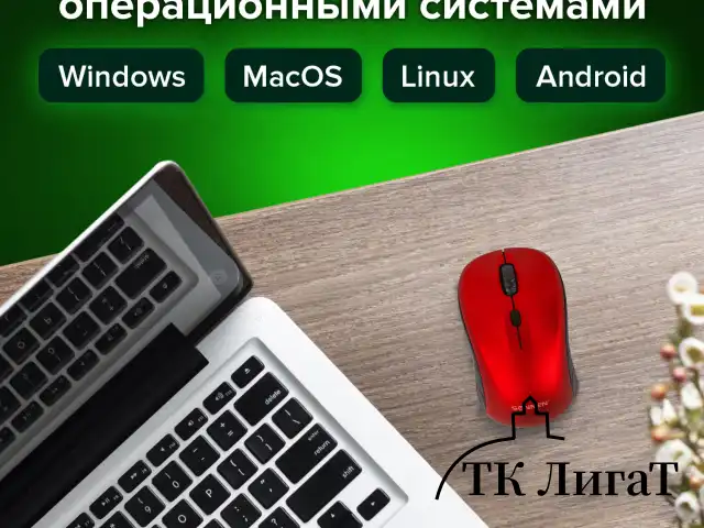 Мышь беспроводная SONNEN V-111, USB, 800/1200/1600 dpi, 4 кнопки, оптическая, красная, 513520
