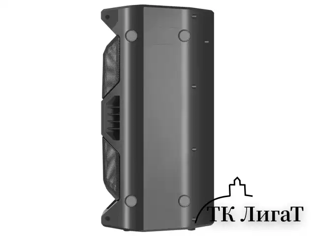 Колонка портативная DEFENDER Rage, 2.0, 50 Вт, Bluetooth, FM-тюнер, microSD, чёрная, 65109