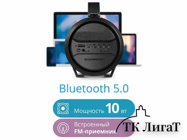 Колонка портативная DEFENDER G24, 1.0, 10 Вт, Bluetooth, FM-тюнер, microSD, чёрная, 65124