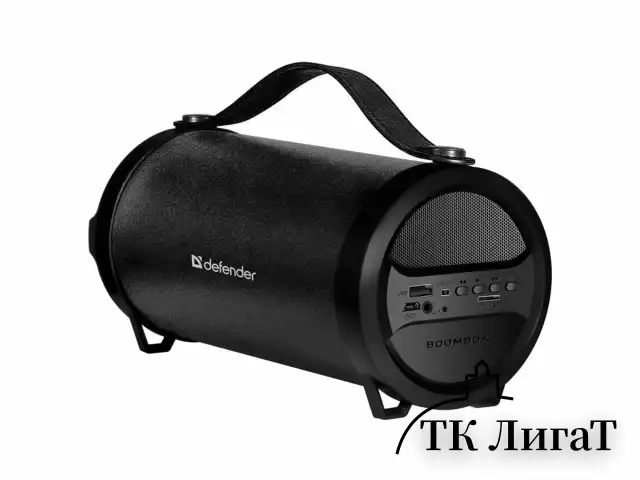 Колонка портативная DEFENDER G24, 1.0, 10 Вт, Bluetooth, FM-тюнер, microSD, чёрная, 65124