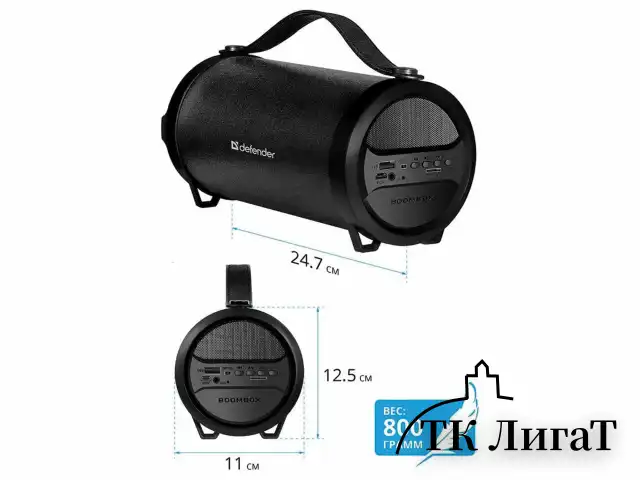 Колонка портативная DEFENDER G24, 1.0, 10 Вт, Bluetooth, FM-тюнер, microSD, чёрная, 65124