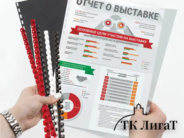 Пружины пластиковые для переплета, КОМПЛЕКТ 50 шт., 38 мм (для сшивания 281-340 л.), белые, BRAUBERG, 530820
