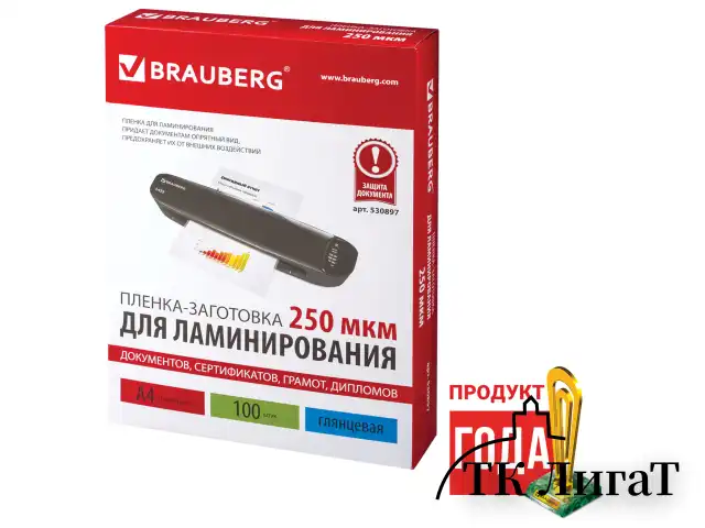 Пленки-заготовки для ламинирования А4, КОМПЛЕКТ 100 шт., 250 мкм, BRAUBERG, 530897