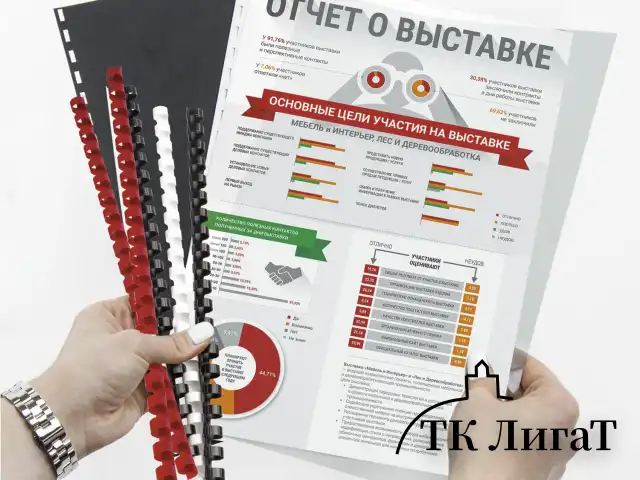 Пружины пластиковые для переплета, КОМПЛЕКТ 50 шт., 51 мм (для сшивания 411-450 л.), черные, BRAUBERG, 530934