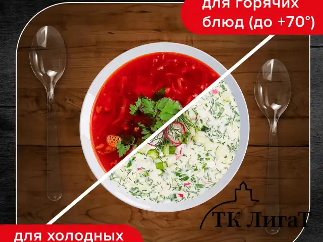 Ложка столовая одноразовая пластиковая 180 мм, прозрачная, КОМПЛЕКТ 48 шт., КРИСТАЛЛ, LAIMA, 602654