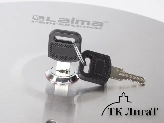Диспенсер для туалетной бумаги LAIMA PROFESSIONAL BASIC (Система T2) малый, нержавеющая сталь, матовый, 605048