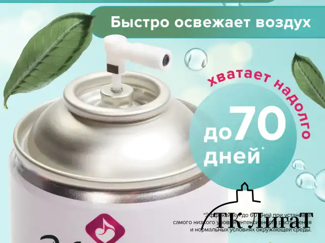 Сменный баллон 250 мл МЕЛОДИЯ "После дождя", для автоматических освежителей, универсальный, 605227