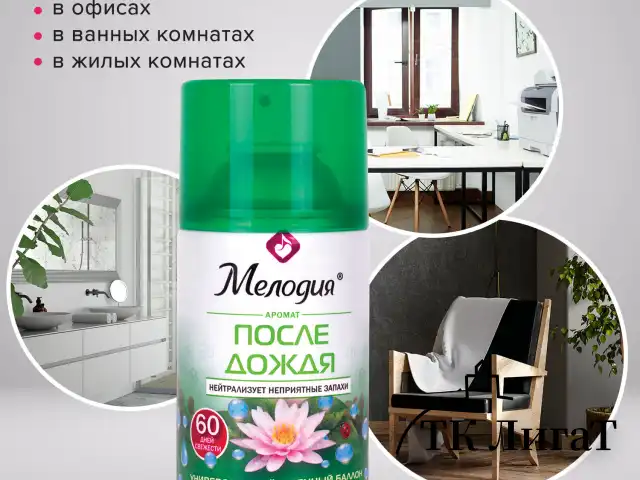 Сменный баллон 250 мл МЕЛОДИЯ "После дождя", для автоматических освежителей, универсальный, 605227