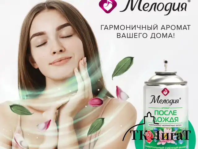 Сменный баллон 250 мл МЕЛОДИЯ "После дождя", для автоматических освежителей, универсальный, 605227