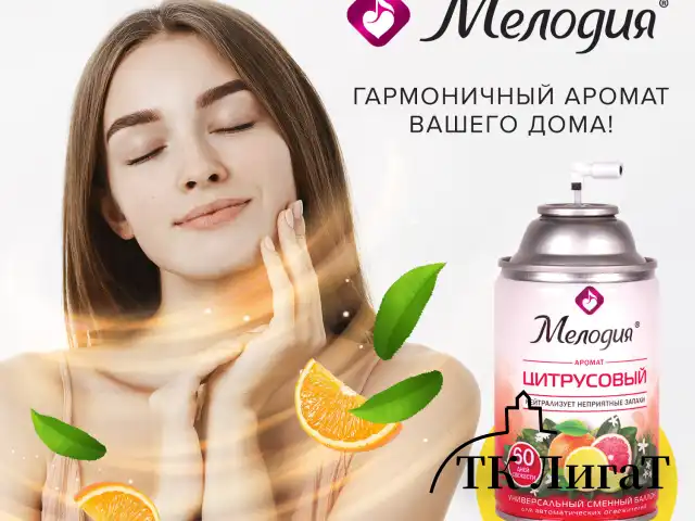Сменный баллон 250 мл МЕЛОДИЯ "Цитрусовый", для автоматических освежителей, универсальный, 605229