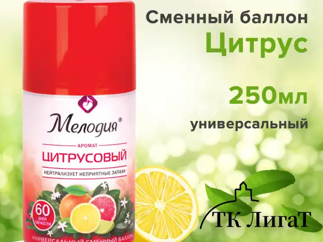 Сменный баллон 250 мл МЕЛОДИЯ "Цитрусовый", для автоматических освежителей, универсальный, 605229