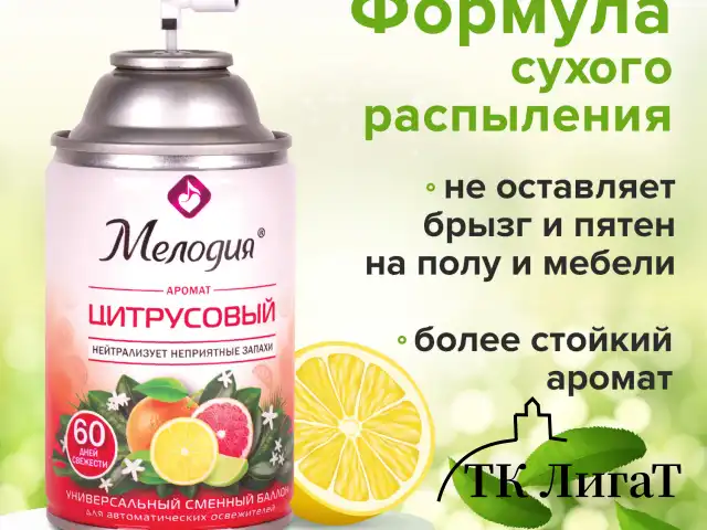 Сменный баллон 250 мл МЕЛОДИЯ "Цитрусовый", для автоматических освежителей, универсальный, 605229
