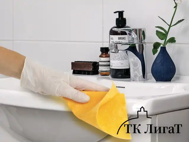 Салфетки ВИСКОЗНЫЕ универсальные MAXI, 23х25 см, В РУЛОНЕ 20 шт., 120 г/м2, оранжевые, LAIMA, К4138, 605485
