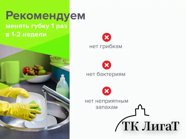 Губки бытовые, 20х95х65 мм, КОМПЛЕКТ 2 шт., ЦЕЛЛЮЛОЗНЫЕ (губчатые) с АБРАЗИВОМ, LAIMA, К1106, 605487