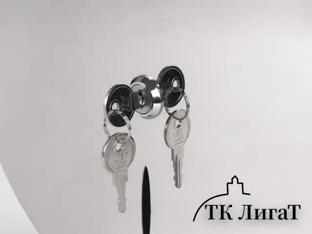 Диспенсер для туалетной бумаги LAIMA PROFESSIONAL INOX, (Система T1) БОЛЬШОЙ, нержавеющая сталь, зеркальный, 605701