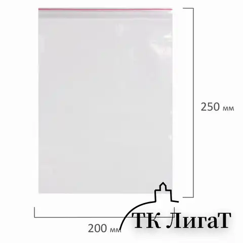 Пакеты с замком ZIP LOCK "зиплок", комплект 100 шт., 200х250 мм, ПВД, толщина 40 микрон, BRAUBERG, 606215