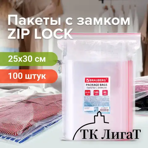 Пакеты с замком ZIP LOCK "зиплок", комплект 100 шт., 250х300 мм, ПВД, толщина 40 микрон, BRAUBERG, 606217