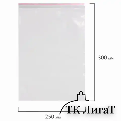 Пакеты с замком ZIP LOCK "зиплок", комплект 100 шт., 250х300 мм, ПВД, толщина 40 микрон, BRAUBERG, 606217