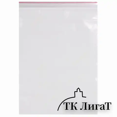 Пакеты с замком ZIP LOCK "зиплок", комплект 100 шт., 250х300 мм, ПВД, толщина 40 микрон, BRAUBERG, 606217