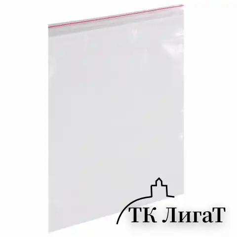 Пакеты с замком ZIP LOCK "зиплок", комплект 100 шт., 400х500 мм, ПВД, толщина 40 микрон, BRAUBERG, 606219