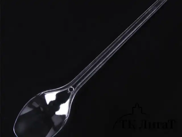 Ложка чайная одноразовая пластиковая 125 мм, прозрачная, КОМПЛЕКТ 100 шт., ЭТАЛОН, БЕЛЫЙ АИСТ, 607831