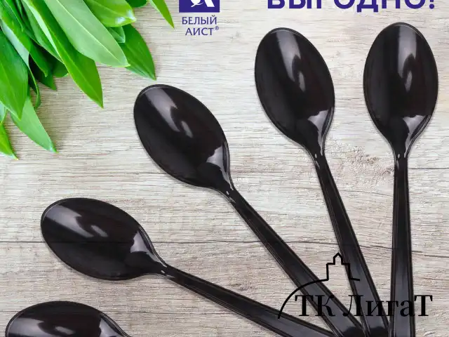 Ложка столовая одноразовая пластиковая 180 мм, черная, КОМПЛЕКТ 50 шт., ЭТАЛОН, БЕЛЫЙ АИСТ, 607836