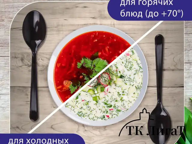 Ложка столовая одноразовая пластиковая 180 мм, черная, КОМПЛЕКТ 50 шт., ЭТАЛОН, БЕЛЫЙ АИСТ, 607836