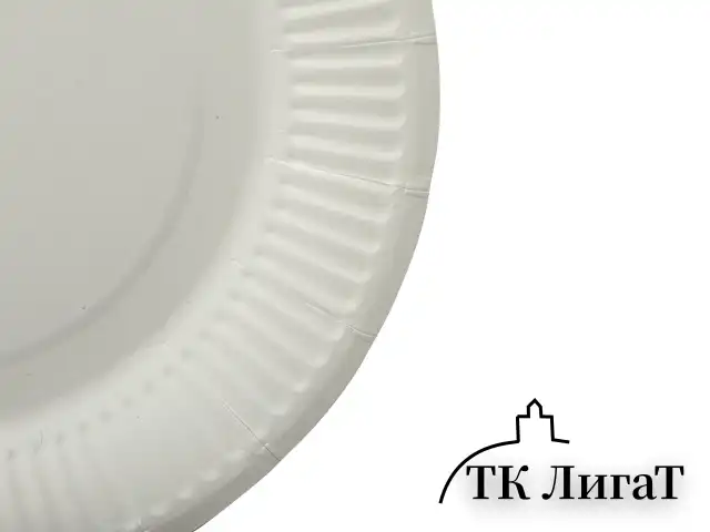 Тарелка одноразовая бумажная 180 мм, КОМПЛЕКТ 100 шт., БЮДЖЕТ, белая мелованная, LAIMA, 608083