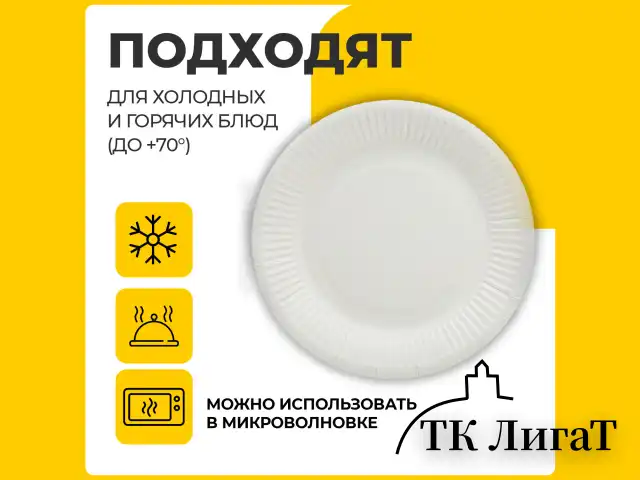 Тарелка одноразовая бумажная 230 мм, 100 штук, СТАНДАРТ, жиростойкая ламинированная, LAIMA, 608086
