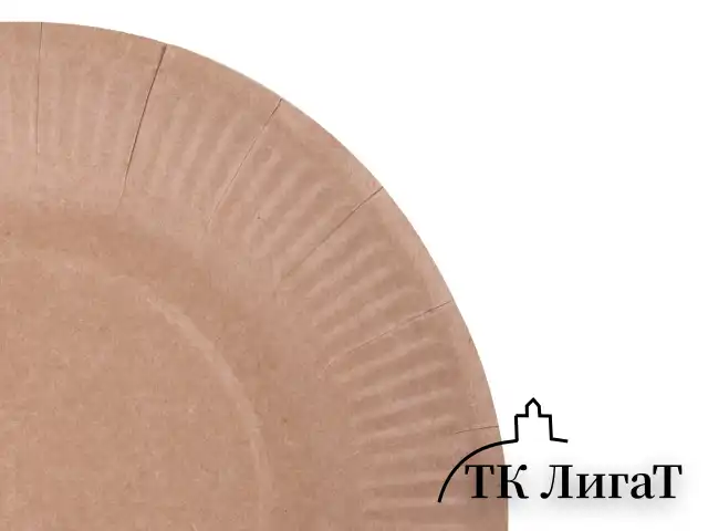 Тарелка одноразовая крафт бумажная 230 мм, КОМПЛЕКТ 100 штук, LAIMA ECO CRAFT, 608088