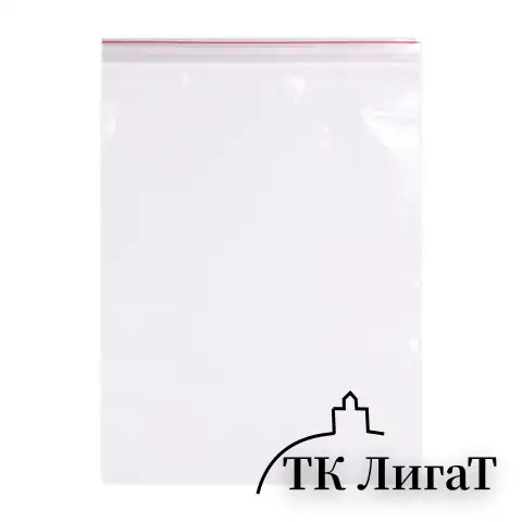 Пакеты ZIP LOCK "зиплок" ПРОЧНЫЕ, комплект 100 шт., 25х35 см, ПВД, 60 мкм, BRAUBERG EXTRA, 608175