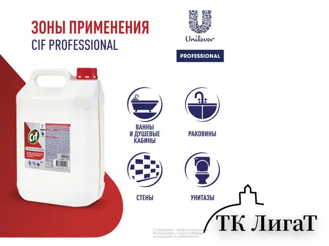 Средство для удаления ржавчины и известкового налета 5 л, CIF PROFESSIONAL, кислотное
